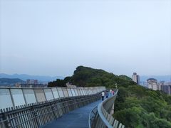 -福道
