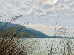 -羚羊峡古栈道森林公园