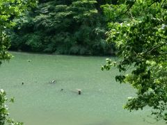 -磐安舞龙峡景区