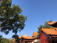-深圳仙湖植物园