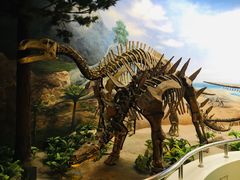 -延庆地质公园博物馆