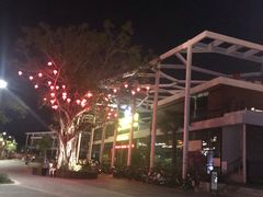 -三亚游船旅游中心(三亚鹿回头游艇游船公共码头店)