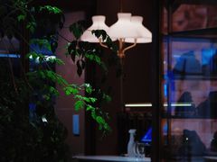 -ZHAO赵·牛扒坊(万象城店)