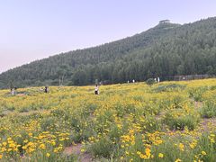 -佛慧山