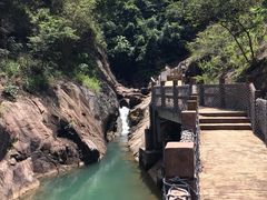 -广州白江湖森林公园