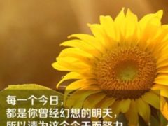 爱尚英语-I-Shine英语国际教育(大三林中心)
