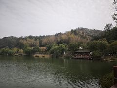 -常德桃花源景区