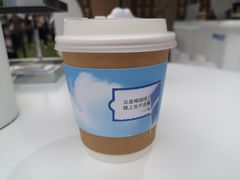 -陆家嘴中心绿地
