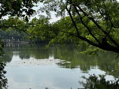 -西湖外事游船(花港观鱼码头)