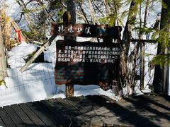 -峡谷浮石林景区
