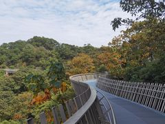 -福道