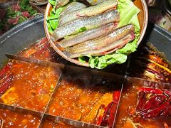 -陈陈火锅(较场口店)