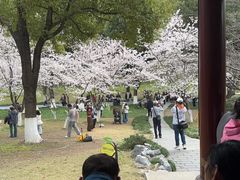 -堤角公园