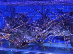 -青蓬蒸汽海鲜·深圳老字号·团建聚会(壹方城店)