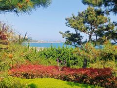 -燕儿岛山公园