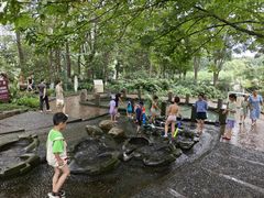 -成都市活水公园