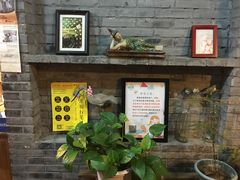 门面-狐狸家·酸奶酪专门店(平江路店)