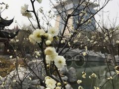 -郑州西亚斯学院-体育学院