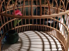 -佬麻雀·剁椒鱼头(京基KK One店)