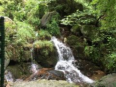 -仙山谷激浪漂流