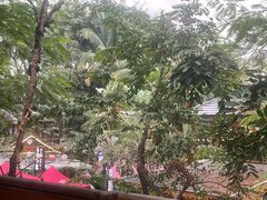 -抚仙湖生态石锅鱼野生菌(告庄店)