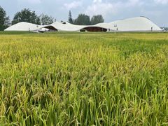 -中国天府农业博览园