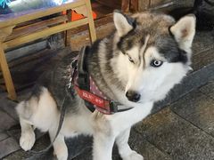 -在路上酒吧(大理古城店)