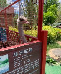 -萌宠亲子动物乐园(槐房万达店)