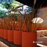 门口大叔招呼着来往的顾客，周末生意非常火爆