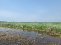 -野鸭湖国家湿地公园