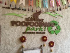 -大象粑粑造纸公园