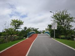 -上海长兴岛郊野公园