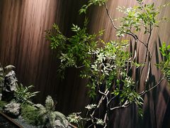 -食悦江南·淮扬菜·烤鸭(亚运村·惠新店)