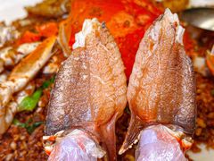 -喜记避风塘炒辣蟹(旗舰店)