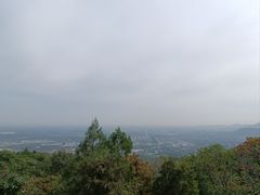 -阳台山自然风景区