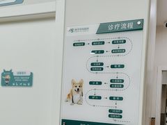 -瑞派康怡24h宠物医院·犬猫医疗中心·微创绝育(瑞景分院)