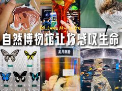 -国家自然博物馆