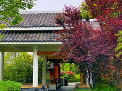 -深业半汤御泉庄温泉