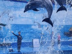 -石林冰雪海洋世界