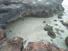 -贝壳沙滩