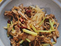 -煎饼卷大葱·非遗传承·潍坊菜(十笏园店)