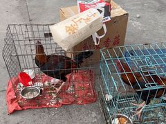 -百味地锅鸡(铜山路店)