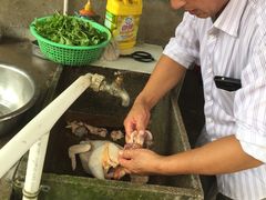 -南汇老顾农家乐采摘大团水蜜桃采摘店