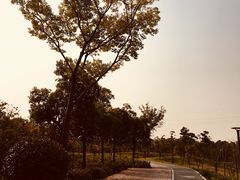 -皇粮浜公园