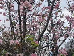 -文华公园(禅城区)