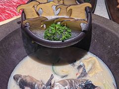 -鲜潭蒸汽石锅鱼(五道口购物中心店)