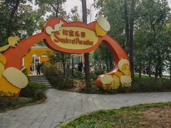 -东湖落雁景区