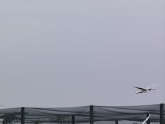 -盐城丹顶鹤湿地生态旅游区