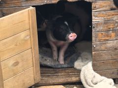 -HERRE·FARM 赫尔露营农场·团建聚会包场