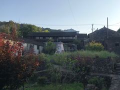 -桑洲油菜花景区